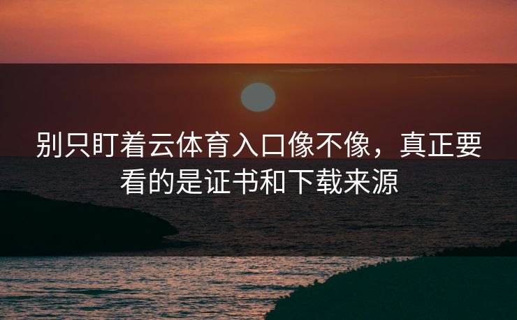 别只盯着云体育入口像不像，真正要看的是证书和下载来源