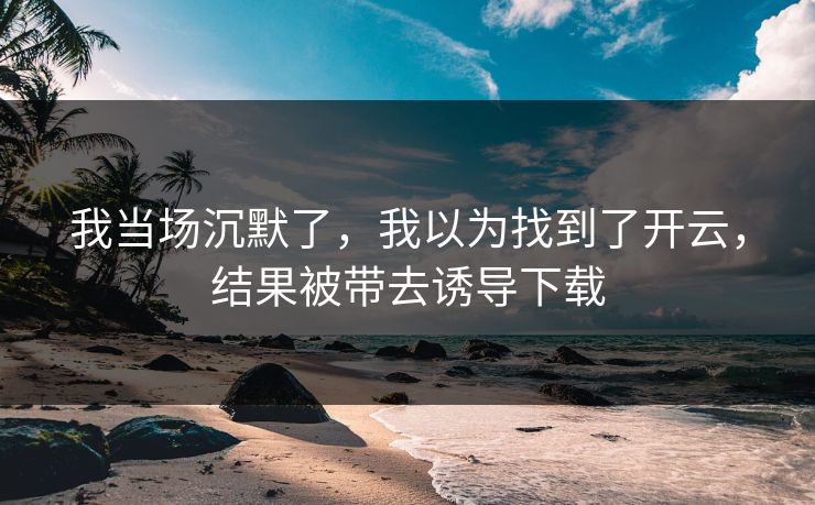 我当场沉默了，我以为找到了开云，结果被带去诱导下载