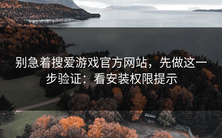 别急着搜爱游戏官方网站，先做这一步验证：看安装权限提示